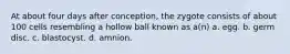 At about four days after conception, the zygote consists of about 100 cells resembling a hollow ball known as a(n) a. egg. b. germ disc. c. blastocyst. d. amnion.