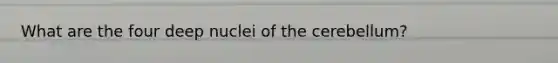 What are the four deep nuclei of the cerebellum?