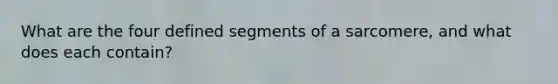 What are the four defined segments of a sarcomere, and what does each contain?