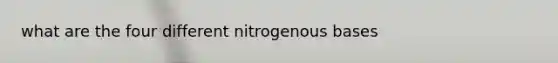 what are the four different nitrogenous bases