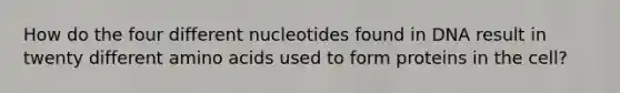 How do the four different nucleotides found in DNA result in twenty different amino acids used to form proteins in the cell?