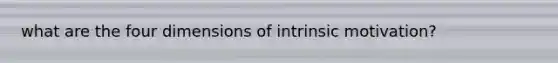 what are the four dimensions of intrinsic motivation?