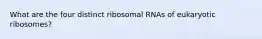 What are the four distinct ribosomal RNAs of eukaryotic ribosomes?