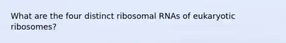 What are the four distinct ribosomal RNAs of eukaryotic ribosomes?