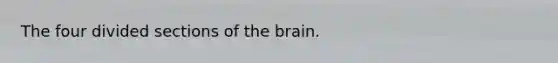 The four divided sections of the brain.