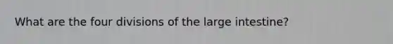 What are the four divisions of the large intestine?