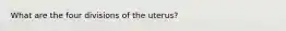 What are the four divisions of the uterus?