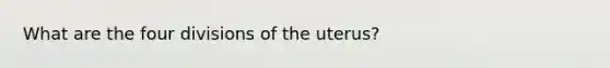 What are the four divisions of the uterus?