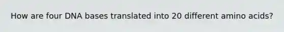How are four DNA bases translated into 20 different amino acids?