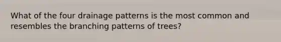 What of the four drainage patterns is the most common and resembles the branching patterns of trees?