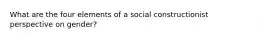 What are the four elements of a social constructionist perspective on gender?