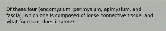 Of these four (endomysium, perimysium, epimysium, and fascia), which one is composed of loose connective tissue, and what functions does it serve?