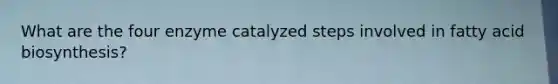 What are the four enzyme catalyzed steps involved in fatty acid biosynthesis?