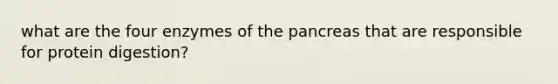 what are the four enzymes of the pancreas that are responsible for protein digestion?