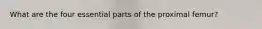 What are the four essential parts of the proximal femur?