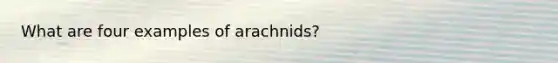 What are four examples of arachnids?