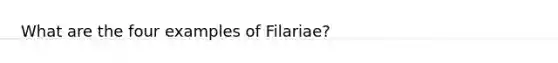 What are the four examples of Filariae?