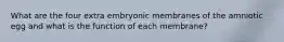 What are the four extra embryonic membranes of the amniotic egg and what is the function of each membrane?