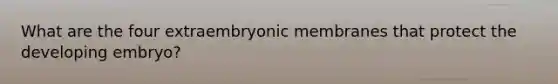 What are the four extraembryonic membranes that protect the developing embryo?