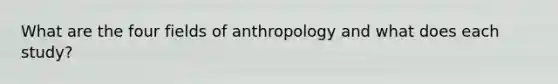 What are the four fields of anthropology and what does each study?