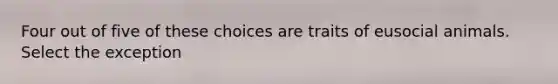 Four out of five of these choices are traits of eusocial animals. Select the exception