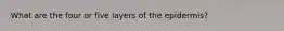 What are the four or five layers of the epidermis?