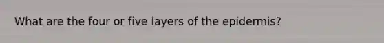 What are the four or five layers of the epidermis?