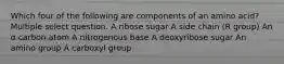 Which four of the following are components of an amino acid? Multiple select question. A ribose sugar A side chain (R group) An α carbon atom A nitrogenous base A deoxyribose sugar An amino group A carboxyl group