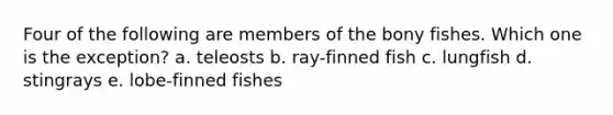 Four of the following are members of the bony fishes. Which one is the exception? a. teleosts b. ray-finned fish c. lungfish d. stingrays e. lobe-finned fishes