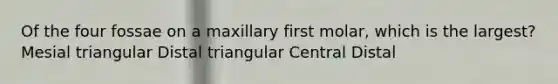 Of the four fossae on a maxillary first molar, which is the largest? Mesial triangular Distal triangular Central Distal