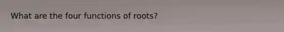 What are the four functions of roots?