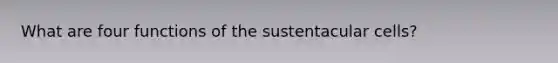 What are four functions of the sustentacular cells?