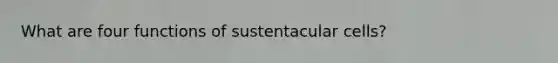 What are four functions of sustentacular cells?