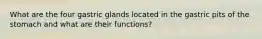 What are the four gastric glands located in the gastric pits of the stomach and what are their functions?