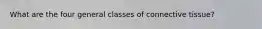 What are the four general classes of connective tissue?