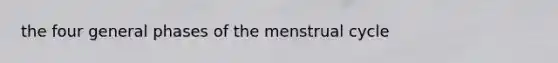 the four general phases of the menstrual cycle