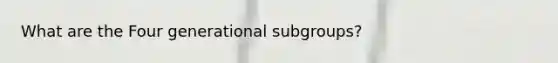 What are the Four generational subgroups?