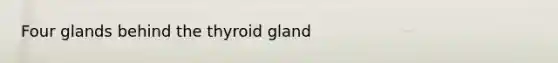 Four glands behind the thyroid gland