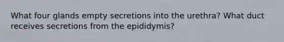 What four glands empty secretions into the urethra? What duct receives secretions from the epididymis?