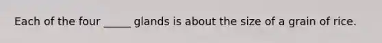 Each of the four _____ glands is about the size of a grain of rice.