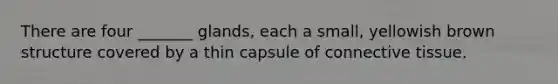 There are four _______ glands, each a small, yellowish brown structure covered by a thin capsule of connective tissue.