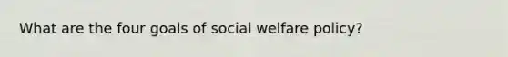 What are the four goals of social welfare policy?