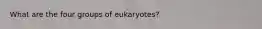 What are the four groups of eukaryotes?