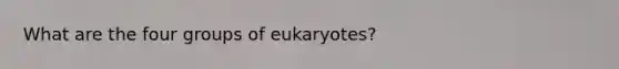 What are the four groups of eukaryotes?