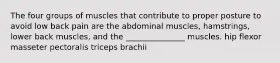 The four groups of muscles that contribute to proper posture to avoid low back pain are the abdominal muscles, hamstrings, lower back muscles, and the _______________ muscles. hip flexor masseter pectoralis triceps brachii