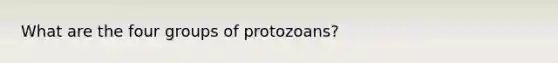 What are the four groups of protozoans?