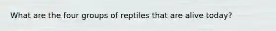 What are the four groups of reptiles that are alive today?