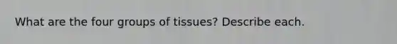 What are the four groups of tissues? Describe each.