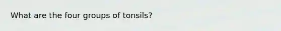 What are the four groups of tonsils?