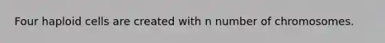 Four haploid cells are created with n number of chromosomes.